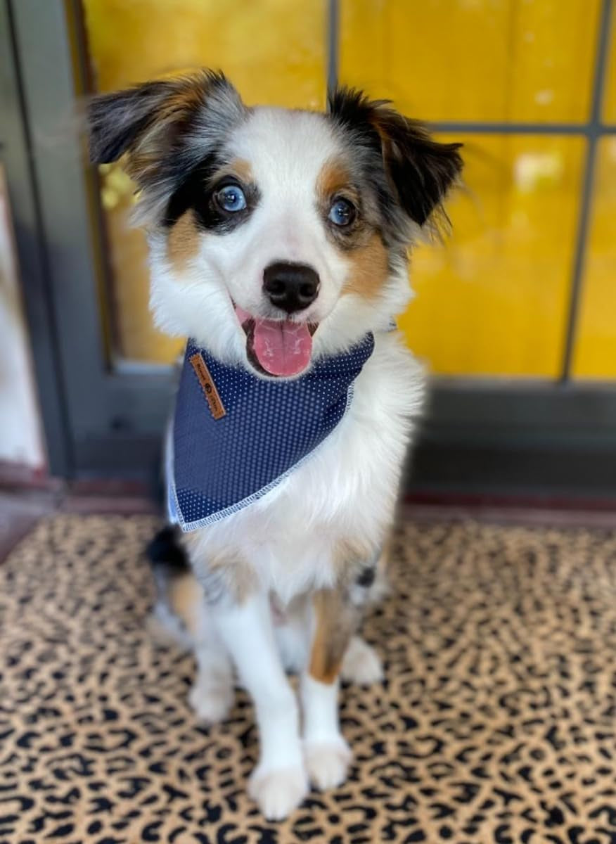 Dog Bandana for Small Medium Large Dogs, Cat Kerchief Blue DOIT