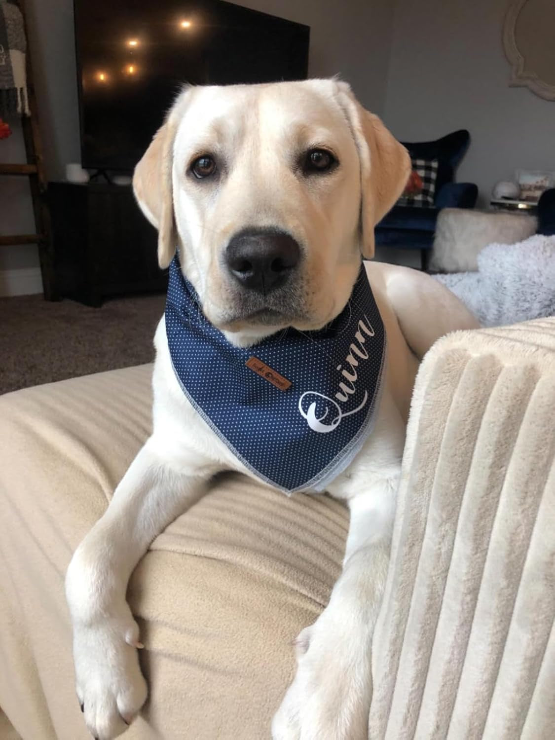 Dog Bandana for Small Medium Large Dogs, Cat Kerchief Blue DOIT