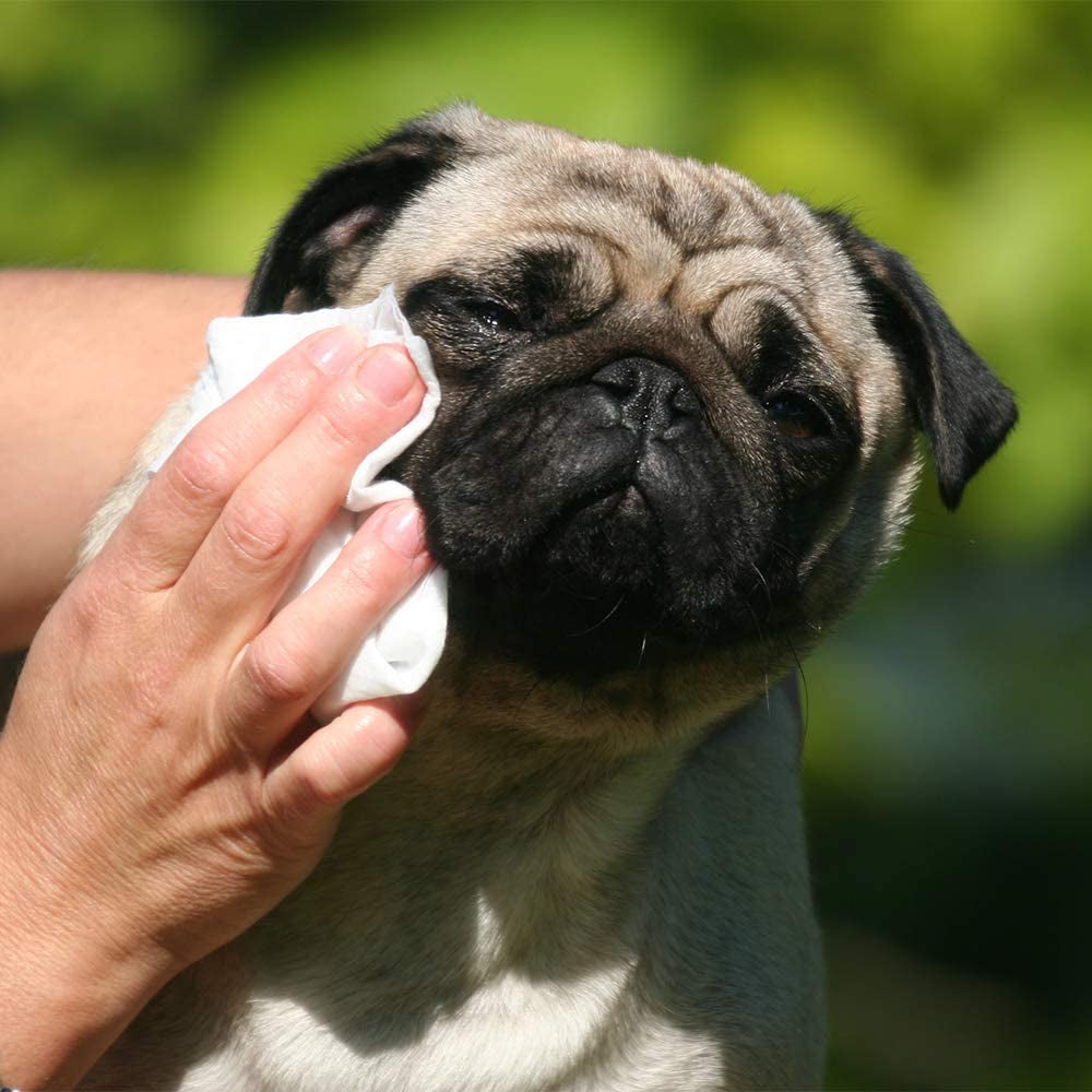 Scamper Grooming Wipes - Pet Wipes for Dogs & Cats (Fragrance Free)