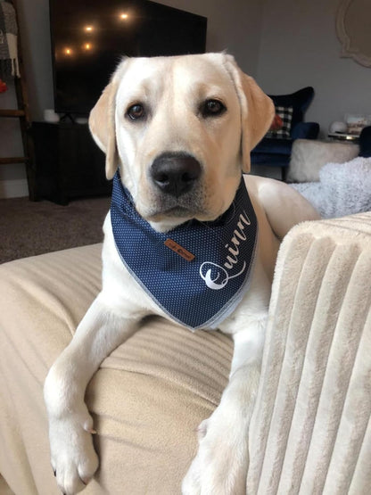 Dog Bandana for Small Medium Large Dogs, Cat Kerchief Blue DOIT